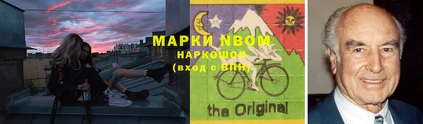 шишки Алексин