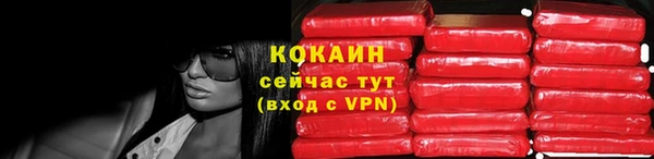 дмт Алзамай