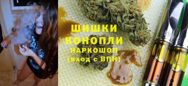 шишки Алексин