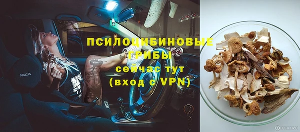 дмт Алзамай