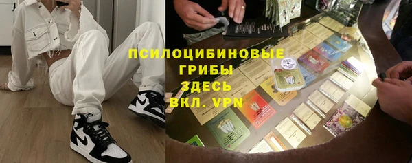 дмт Алзамай