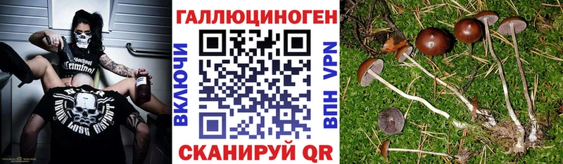 Псилоцибиновые грибы Psilocybine cubensis  где можно купить наркотик  Покров 